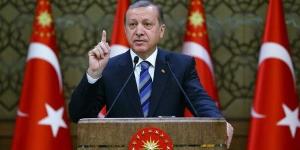 أردوغان: مستعدون لعملية إزالة الألغام من مضيق هرمز