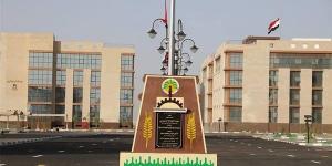 أنشطة متنوعة لمديرية العمل بالوادي الجديد لدعم التشغيل والتدريب