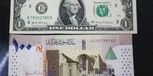 تراجع سعر الجنيه السوداني مقابل الدولار في بنك السودان المركزي