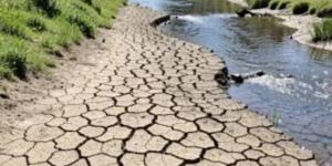 جفاف الدانوب يغلق مفاعلات نووية ويشل الملاحة بـ10 دول ويقطع الكهرباء