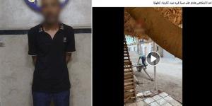 خلاف على قرض مالي ينتهي بإصابة سيدة سبعينية في طلخا والأمن يكشف كواليس الواقعة