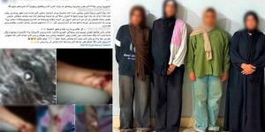 خلافات الجيرة تتحول إلى مشاجرة وتعدٍ بالضرب في المنوفية