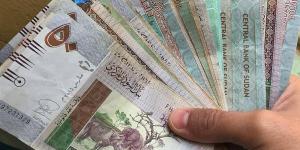 آخر تطورات سعر الجنيه السوداني مقابل الدولار في بنك السودان المركزي مساء اليوم