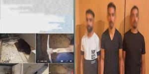 خلافات الجيران تصل إلى قسم الشرطة، ضبط 3 أشخاص بالمقطم ومتهم في مشادة ببنها