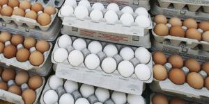 ارتفاع الأحمر والأبيض، سعر كرتونة البيض اليوم الأربعاء في بورصة الدواجن