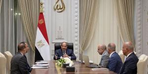 قرارات جمهورية مهمة وتكليفات حاسمة للحكومة تتصدر نشاط السيسي في النصف الأول من أغسطس(فيديو)
