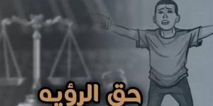 أزمة تعطيل تنفيذ أحكام الرؤية تحت قبة البرلمان، لماذا تطالب الأحزاب بكتاب دوري وتنظيم للاستضافة؟