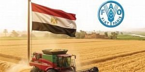 الوزراء: مصر الأولى عربيا في إنتاج القمح خلال 2026 (إنفوجراف)