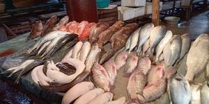 أسعار السمك اليوم، انخفاض 6 أصناف منهم البلطي والبوري وارتفاع المكرونة 10 جنيهات