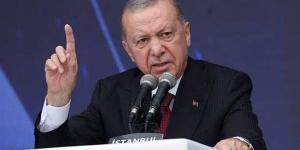 أردوغان: تركيا ليس لديها أي أجندة خفية