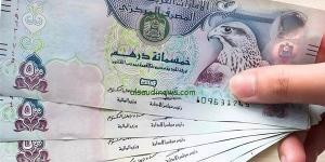 تراجع سعر الدرهم الإماراتي أمام الجنيه في البنوك المصرية اليوم الأربعاء