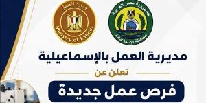 60 فرصة عمل جديدة بالإسماعيلية، مديرية العمل تعلن وظائف بالمنطقة الحرة للشباب