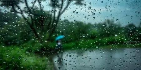 أمطار رعدية تضرب شمال مصر.. والأرصاد تحذر من رياح مثيرة للأتربة