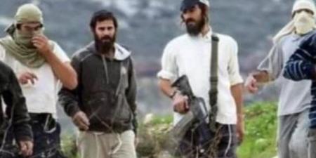 إصابة طفل ومسن في اعتداء للمستوطنين شرق بيت لحم بفلسطين