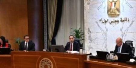 مجلس الوزراء يوافق على تخصيص قطع أراضى للبيع بالدولار من خارج البلاد