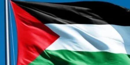 نقيب الصحفيين الفلسطينيين: الإعلام المصرى لم يتوقف عن دعم القضية الفلسطينية