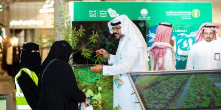 أمانة تبوك تشارك في أسبوع البيئة بمبادرات متنوعة وبرامج تعريفية