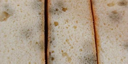 أمانة جدة تغلق معملًا عشوائيًا للمعجنات وتتلف 20 طنًا من المواد الغذائية الفاسدة شرق المحافظة