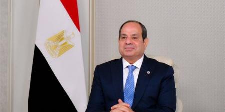رسائل قوية من السيسي لـ وزراء خارجية باكستان وتركيا والسعودية