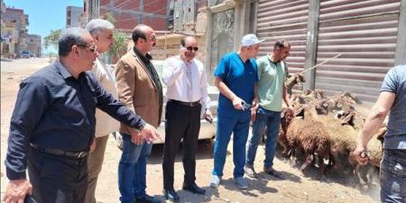 محافظ الدقهلية يتابع قوافل الطب البيطري المجانية بشربين