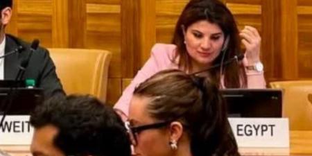 الأمم المتحدة تعتمد قراراً مصرياً بخصوص حماية العاملين في المجال الإنساني