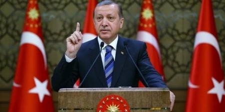 أردوغان: مستعدون لعملية إزالة الألغام من مضيق هرمز