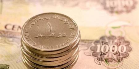 آخر تطورات سعر الدرهم الإماراتي أمام الجنيه في البنوك المصرية