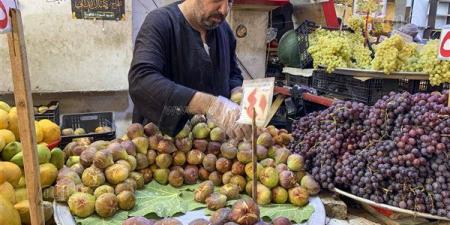 التين.. الثمرة التي سبقت القمح والذرة وأقسم بها القرآن وقدّسها الفراعنة (صور)