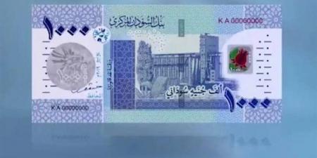 سعر الجنيه السوداني مقابل الدولار في بنك السودان المركزي