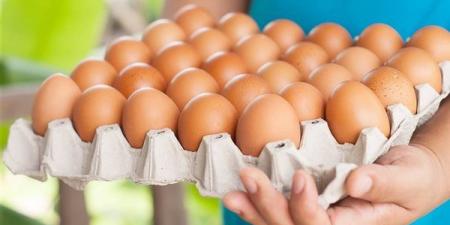 سعر كرتونة البيض اليوم الجمعة في بورصة الدواجن