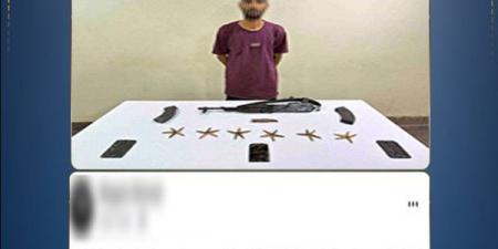 أضرم النار في تاجر أغنام، مقتل عنصر إجرامي في تبادل إطلاق النار مع الشرطة بالمنيا