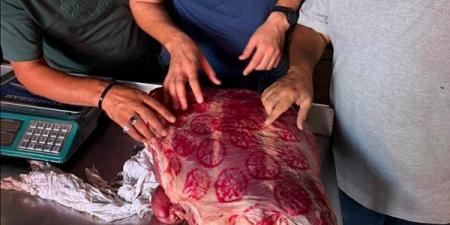 تموين الفيوم تتحفظ على لحوم فاسدة قبل طرحها للبيع في الأسواق
