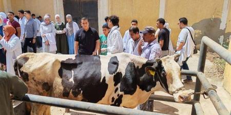 254 قافلة بيطرية مجانية، «الزراعة» تصل إلى 271 قرية لخدمة المربين