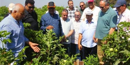 البحوث الزراعية في أسبوع، 50 نشاطًا بحثيًا وتدريبيًا ورقابيًا لدعم الأمن الغذائي وتوطين التكنولوجيا