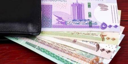 سعر الدولار مقابل الجنيه في بنك السودان المركزي مساء اليوم الأربعاء