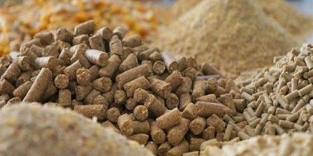طن الصويا يرتفع 1100 جنيه، أسعار الأعلاف والحبوب اليوم في الأسواق
