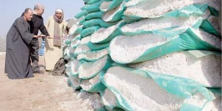 من المصنع إلى الفلاح، كيف تراقب الدولة رحلة 48 مليون شيكارة سماد؟ الزراعة ترد