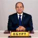 السيسي: ثورة 30 يونيو ستظل رمزا لوحدة المصريين وعزمهم على بناء دولة قوية عصرية