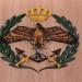 الجيش الأردني يعلن إحباط اختراق للمجال الجوي للملكة ويسقط 3 صواريخ قادمة من إيران