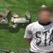 غامر بحياته من أجل اللهو، حركات استعراضية بدراجة نارية تنتهي في قبضة الشرطة ببولاق