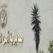 مصرع طفل سقط من سطح منزله في الإسكندرية