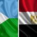 بدائل وسلع مصرية جديدة بالأسواق الجيبوتية، مبادرة ناجحة للتمثيل التجاري لتعزيز الصادرات