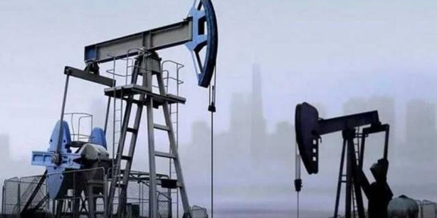 تراجع
      مخزونات
      النفط
      الأمريكية
      يرفع
      أسعار
      "برنت"
      و"نايمكس"
