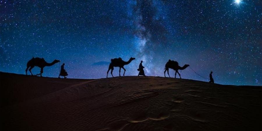 الكشف عن "بروتين فريد في الإبل" قد يحمي الدماغ من "ألزهايمر والفصام"