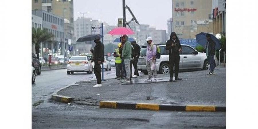 عطلة
نهاية
الأسبوع..
طقس
بارد
مع
فرص
لتكوّن
الضباب
الخفيف