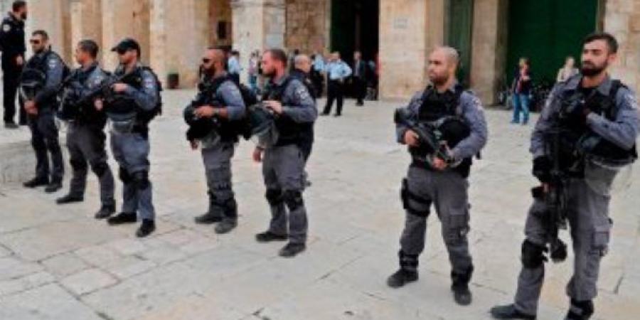 99 اعتداء استيطانيا واستشهاد وإصابة 95 فلسطينيا فى قطاع غزة خلال أسبوع