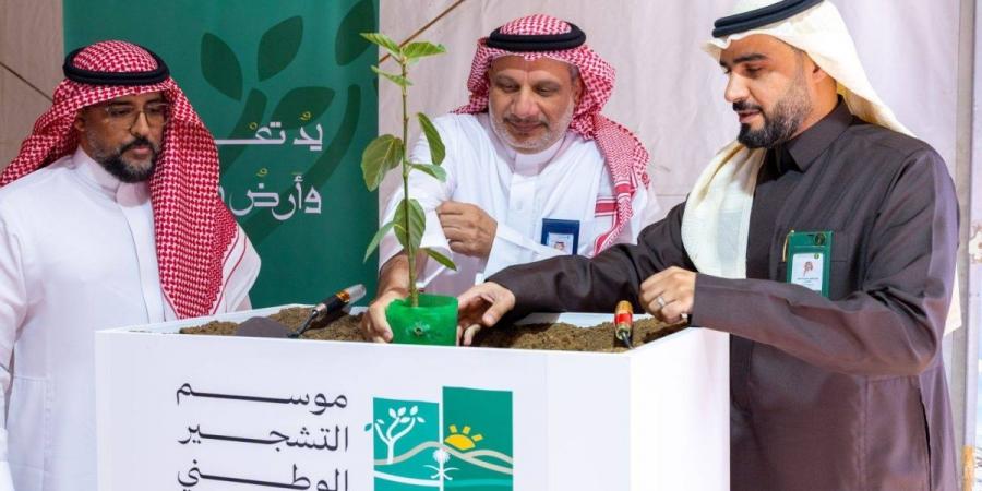 "الأخضر يليق بمكة": حملة تشجير كبرى في منطقة مكة المكرمة
