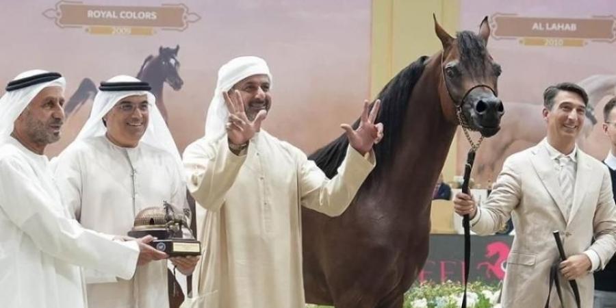 42 خيلاً تتأهل إلى النهائيات في بطولة دبي الدولية للجواد العربي