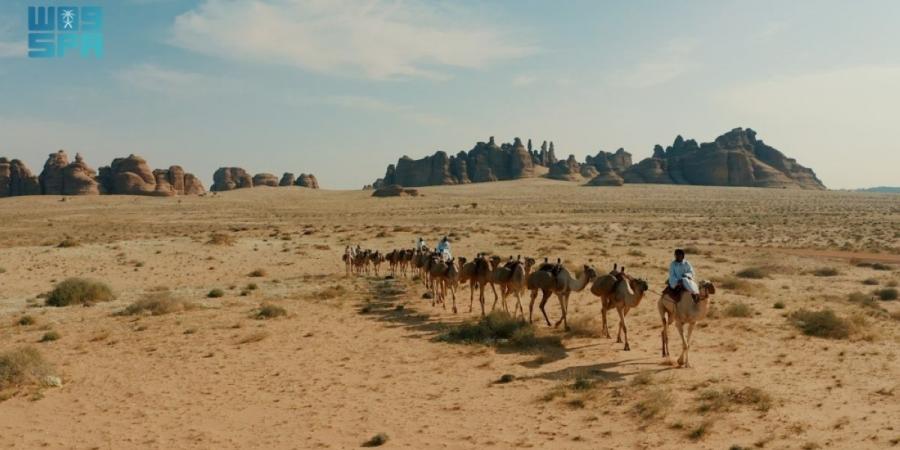 طريق الحج الشامي قديما.. 
رحلة إيمانية بين مسارات ومحطات متنوعة