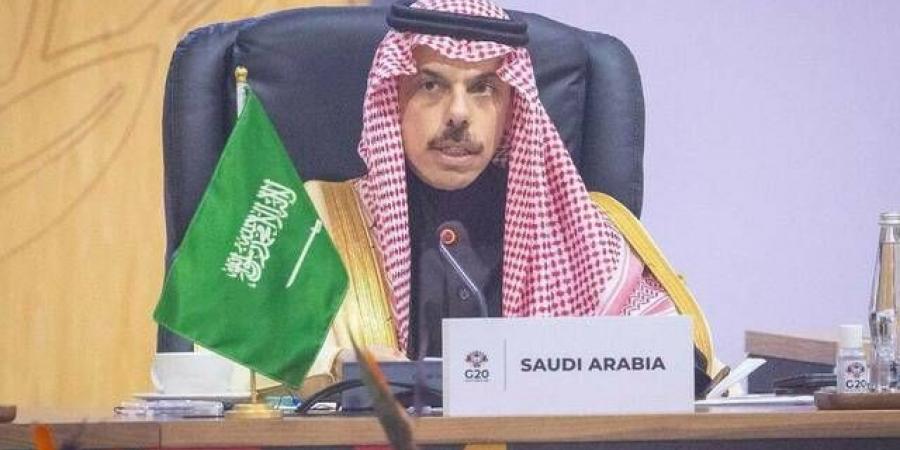 وزير الخارجية ونظيرته السويدية يناقشان تعزيز التعاون والتطورات الإقليمية